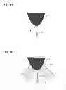 Fig. 07 - Gas field ionization ion source and ion beam device