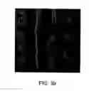 Fig. 07 - Light source with quantum dots
