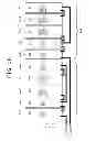 Fig. 15 - Display and method for manufacturing display