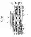 Fig. 22 - Semiconductor device and method of manufacturing the same