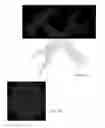 Fig. 03 - Digitally printed anti-copy document and processes and products therefor