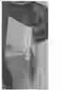 Fig. 09 - Modular hopper unit for bulk material transport truck or trailer