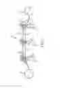 Fig. 02 - Phase balancing of power transmission system