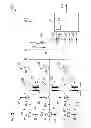 Fig. 04 - Method and arrangement for determining an electrical characteristics at a regulation point