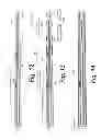 Fig. 08 - Multiband whip antenna