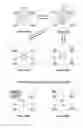Fig. 265 - Touch screen device, method, and graphical user interface for customizing display of content category icons