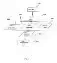 Fig. 07 - SYSTEMS AND METHODS FOR ESTIMATING A PARAMETER FOR A 3D MODEL