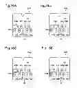 Fig. 16 - Printing material container, and board mounted on printing material container