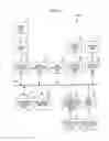 Fig. 02 - Imaging apparatus, imaging method, and program