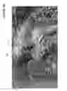 Fig. 09 - External depth map transformation method for conversion of two-dimensional images to stereoscopic images