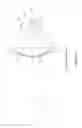 Fig. 07 - APPARATUS AND METHOD FOR POSITIONING AN IRIS FOR IRIS IMAGE CAPTURE