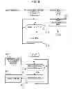 Fig. 07 - Imaging systems, moving bodies, and imaging control methods for remote monitoring of a moving target