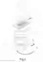 Fig. 02 - Method of operating a microlithographic projection exposure apparatus and projection objective of such an apparatus