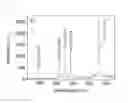 Fig. 08 - COMPONENT QUANTITATIVE ANALYZING METHOD DEPENDING ON DEPTH OF CIGS FILM USING LASER INDUCED BREAKDOWN SPECTROSCOPY