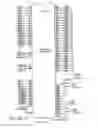 Fig. 49 - APPARATUS FOR CAPTURING, CONVERTING, AND TRANSMITTING A VISUAL IMAGE SIGNAL VIA A DIGITAL TRANSMISSION SYSTEM