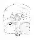 Fig. 03 - Night vision devices and methods