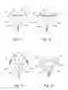 Fig. 05 - Lighting device for forming an illumination spot of variable diameter and of variable color temperature