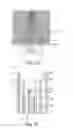 Fig. 07 - Lighting device for forming an illumination spot of variable diameter and of variable color temperature