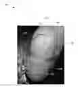Fig. 01 - ILLUMINATION DEVICE