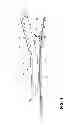 Fig. 02 - Stringed LED capsule lighting apparatus