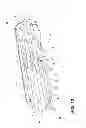 Fig. 09 - Stringed LED capsule lighting apparatus
