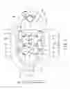Fig. 02 - Lighting apparatus