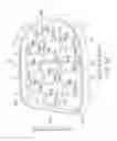 Fig. 22 - Lighting apparatus
