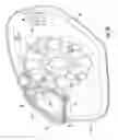 Fig. 04 - Vehicle mirror assembly with wide angle element