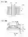 Fig. 31 - Semiconductor device and driving method thereof