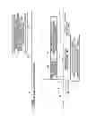 Fig. 05 - Method and apparatus for setting radio link of terminal in which multiple carriers are integrated in mobile communication system