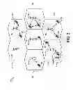 Fig. 03 - Method and apparatus for efficient communication of safety messages for a group of user equipments