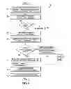Fig. 06 - Routing internet protocol version 6 link-local addresses in a network environment