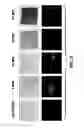 Fig. 08 - Detection of thermal damage of composites using molecular probes