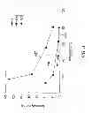 Fig. 09 - FLEXIBLE TEMPERATURE SENSOR AND SENSOR ARRAY