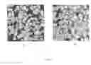 Fig. 02 - Method for examining samples of frozen rocks