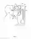 Fig. 11 - Orthovoltage radiotherapy