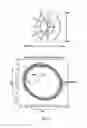 Fig. 24 - Orthovoltage radiotherapy