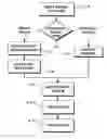 Fig. 01 - Object information derived from object images
