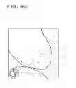 Fig. 10 - Surface and image integration for model evaluation and landmark determination