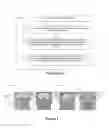 Fig. 08 - Method and apparatus for automated delineation of structure shape for image guided treatment planning