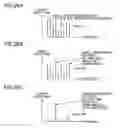Fig. 27 - Optical communication system, optical transmitter, and optical receiver