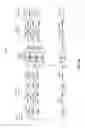 Fig. 10 - Reconfigurable optical transmitter