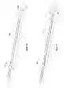 Fig. 05 - Spring Lock