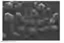 Fig. 01 - Carbon nanotubes and method for manufacturing the same