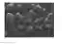 Fig. 03 - Carbon nanotubes and method for manufacturing the same