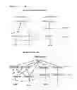 Fig. 04 - ISOTOPIC LABELING OF HIGHER ORGANISMS
