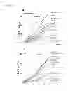 Fig. 09 - ISOTOPIC LABELING OF HIGHER ORGANISMS