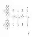Fig. 07 - Local J-coupling dye-zeolite antenna composite materials