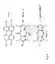 Fig. 08 - Local J-coupling dye-zeolite antenna composite materials