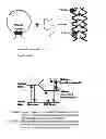 Fig. 01 - Fluorogenic Peptide Probes and Assays